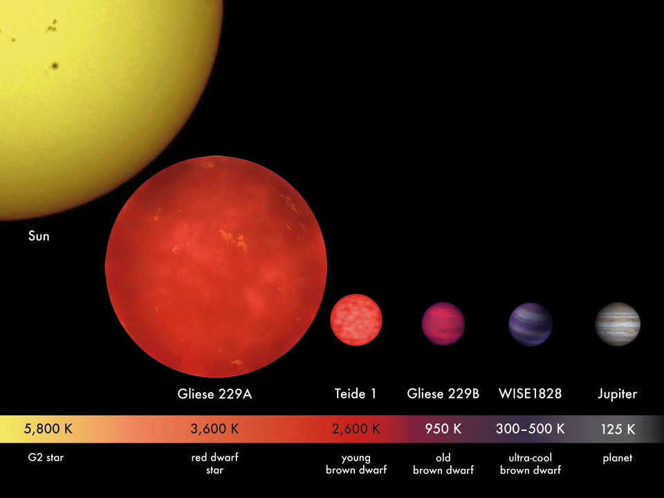 Comparaison entre le Soleil (type G2 V), la naine rouge Gliese 229A (type M1)3, les naines brunes Teide 1 (type M8), Gliese 229B (type T)3, et WISE 1828+2650 (type Y), et Jupiter (planète géante gazeuse).