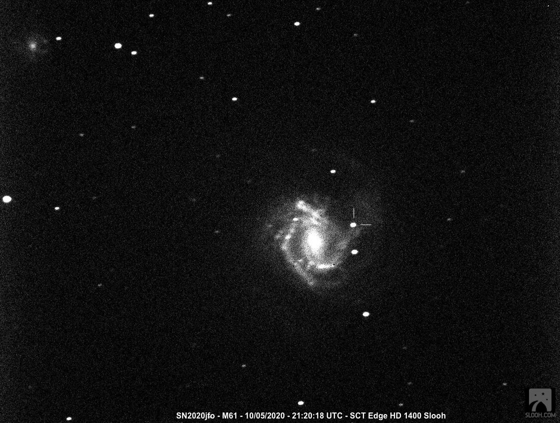 Supernova SN2020jfo - M61